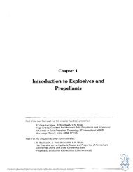 Chapter 1 Introduction to Explosives and Propellants