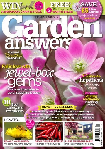 Garden Answers Feb 20