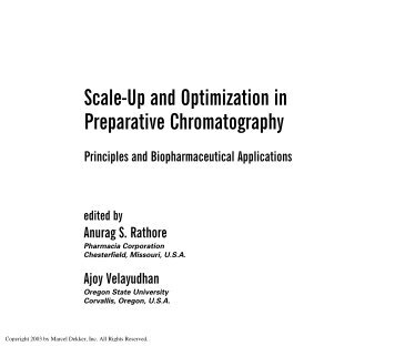 scale-up and optimization in preparative chromatography