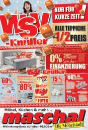 Megaflyer WSV_2