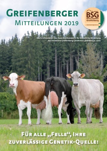 BSG Mitteilungsblatt 2019