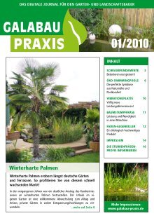 GALABAU PRAXIS 01-2010