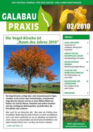 GALABAU PRAXIS 02-2010