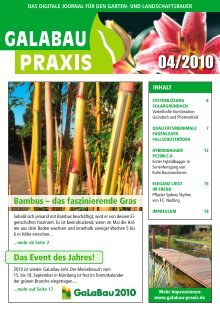 GALABAU PRAXIS 04-2010