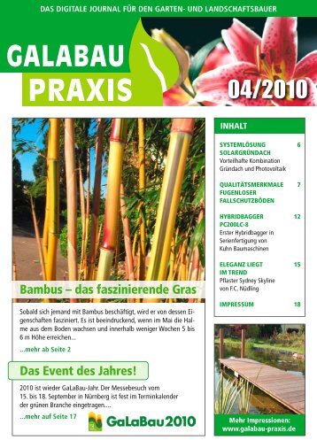 GALABAU PRAXIS 04-2010