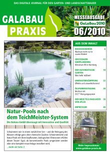 GALABAU PRAXIS 06-2010
