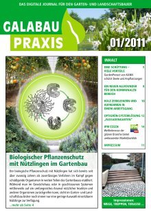 GALABAU PRAXIS 01-2011