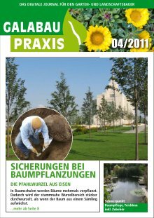 GALABAU PRAXIS 04-2011