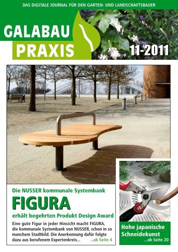 GALABAU PRAXIS_11-2011