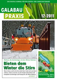 GALABAU PRAXIS_12-2011