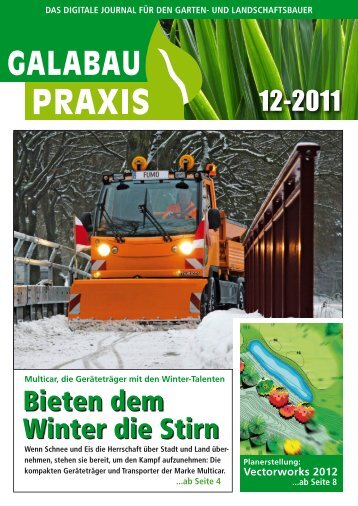 GALABAU PRAXIS_12-2011