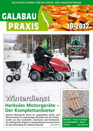 GALABAU PRAXIS 10-2012