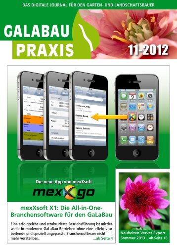 GALABAU PRAXIS 11-2012