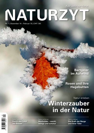Dezember2014