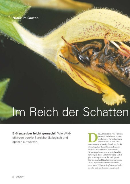 NATURZYT – Das Schweizer Naturmagazin – Ausgabe März 2020