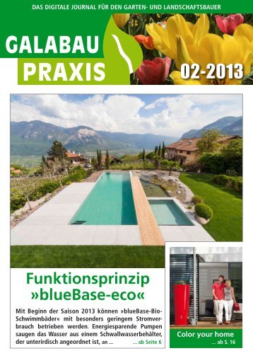 GALABAU PRAXIS 02-2013__