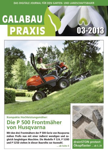 GALABAU PRAXIS 03-2013