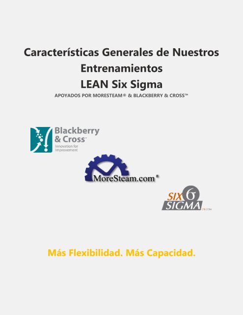 Curso de Lean Six Sigma Green Belt 1-ON-1