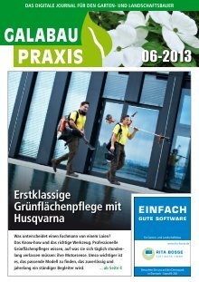 GALABAU PRAXIS 06-2013