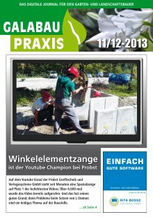 GALABAU PRAXIS 11-2013