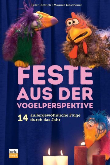 Leseprobe Feste aus der Vogelperspektive DVD