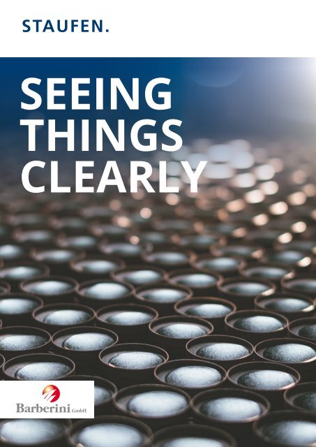 Seeing Things Clearly: A Success Story by STAUFEN.AG 