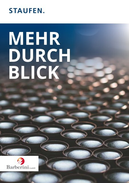 Mehr Durchblick: Baberini GmbH Referenzprojekt der Staufen.AG
