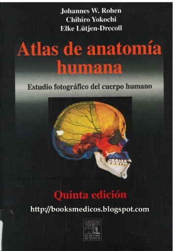 rohen-yokochi-atlas-de-anatomia.pdf