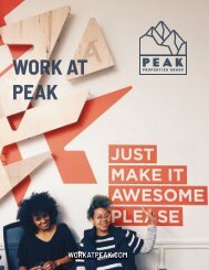 Work At Peak - The WHY