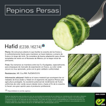 leaflet Cucumber Hafid 2020