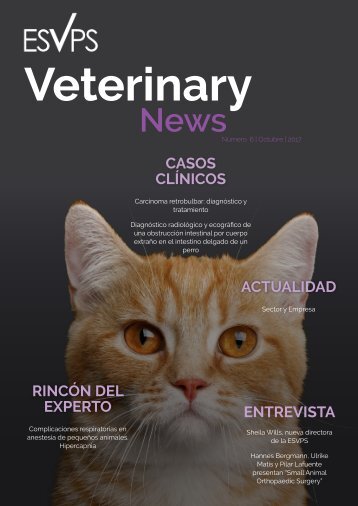 ISVPS_Veterinary_News_ES_6Edition