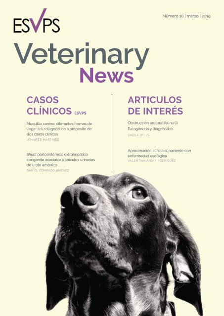 ISVPS_Veterinary_News_ES_10Edition