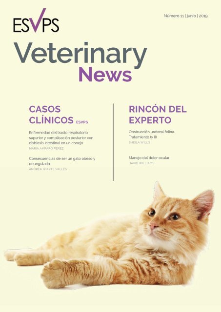 ISVPS_Veterinary_News_ES_11Edition