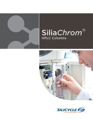 Silicycle SiliaChrom HPLC Columns