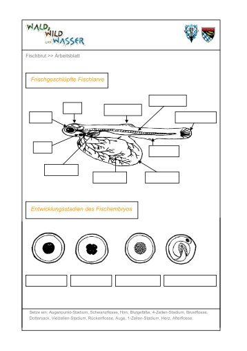 Arbeitsblätter Fischbrut - Landesfischereiverband Bayern eV