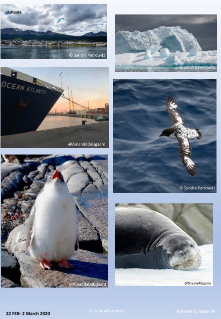 South Shetlands &  The Antarctic Peninsula 22 Feb 2020 - 14