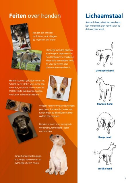 Alles over Honden - Mars