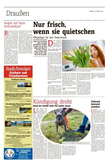 Stadtanzeiger Duelmen kw 12