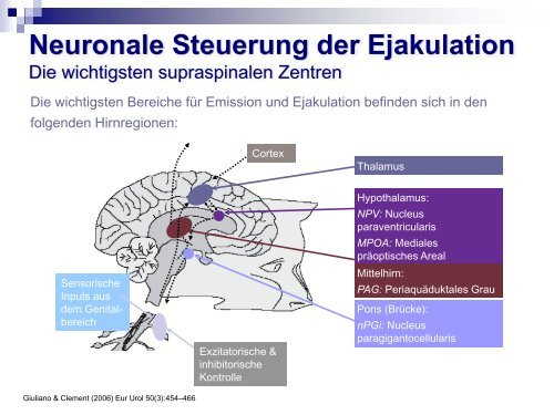 Sexuelle Gesundheit & Ejaculatio praecox - Kinderwunsch Praxis ...