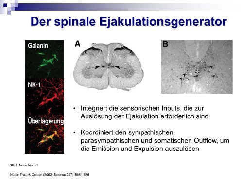 Sexuelle Gesundheit & Ejaculatio praecox - Kinderwunsch Praxis ...