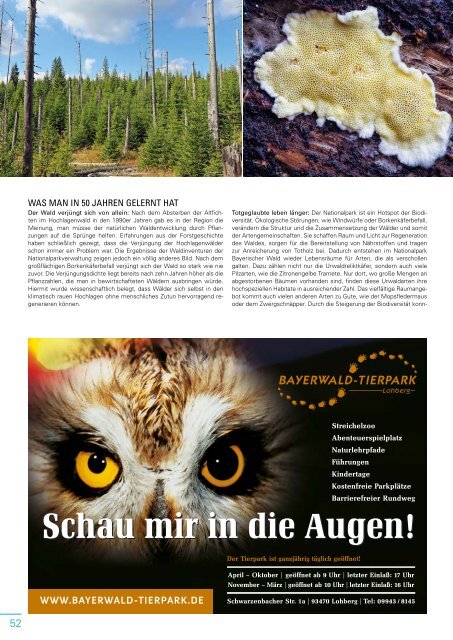 Magazin "Waldgeist"