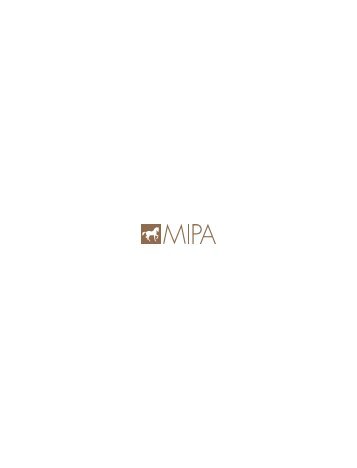 Mipa - Catálogo - 2019 - General