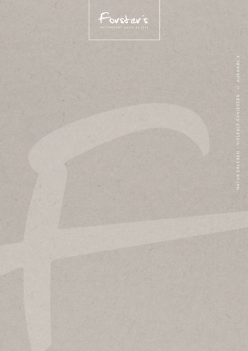Forster_Folder_DE