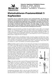 Kleinstrukturen-Praxismerkblatt 5 Kopfweiden