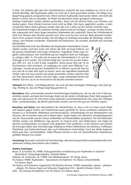 Kleinstrukturen-Praxismerkblatt 5 Kopfweiden