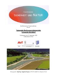 Naturnahe Hochwasserschutzprojekt Grossache Kirchdorf - AVT