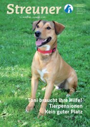 Toni braucht Ihre Hilfe! Tierpensionen Kein guter Platz - Tierheim Linz