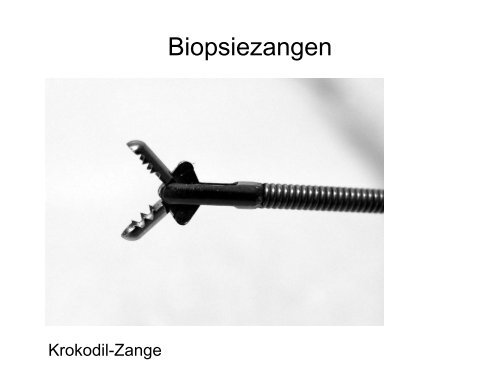 Zangenbiopsie