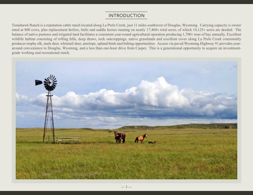 Tomahawk Ranch Offering Brochure 4-6-2020