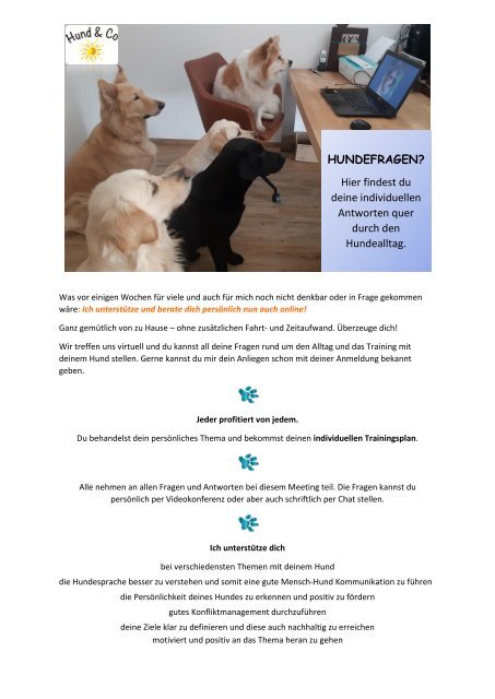 Hundetraining Onlineberatung